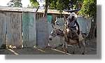 Haiti_JR_334.jpg