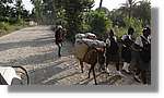 Haiti_JR_335.jpg