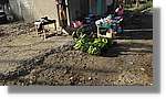 Haiti_JR_336.jpg
