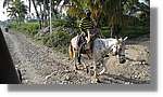 Haiti_JR_340.jpg