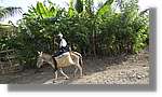 Haiti_JR_342.jpg