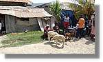 Haiti_JR_348.jpg