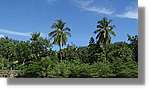 Haiti_JR_384.jpg
