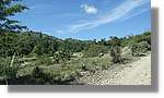 Haiti_JR_386.jpg