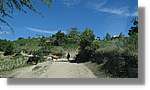 Haiti_JR_387.jpg