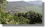 Haiti_JR_393.jpg