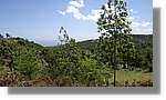 Haiti_JR_399.jpg