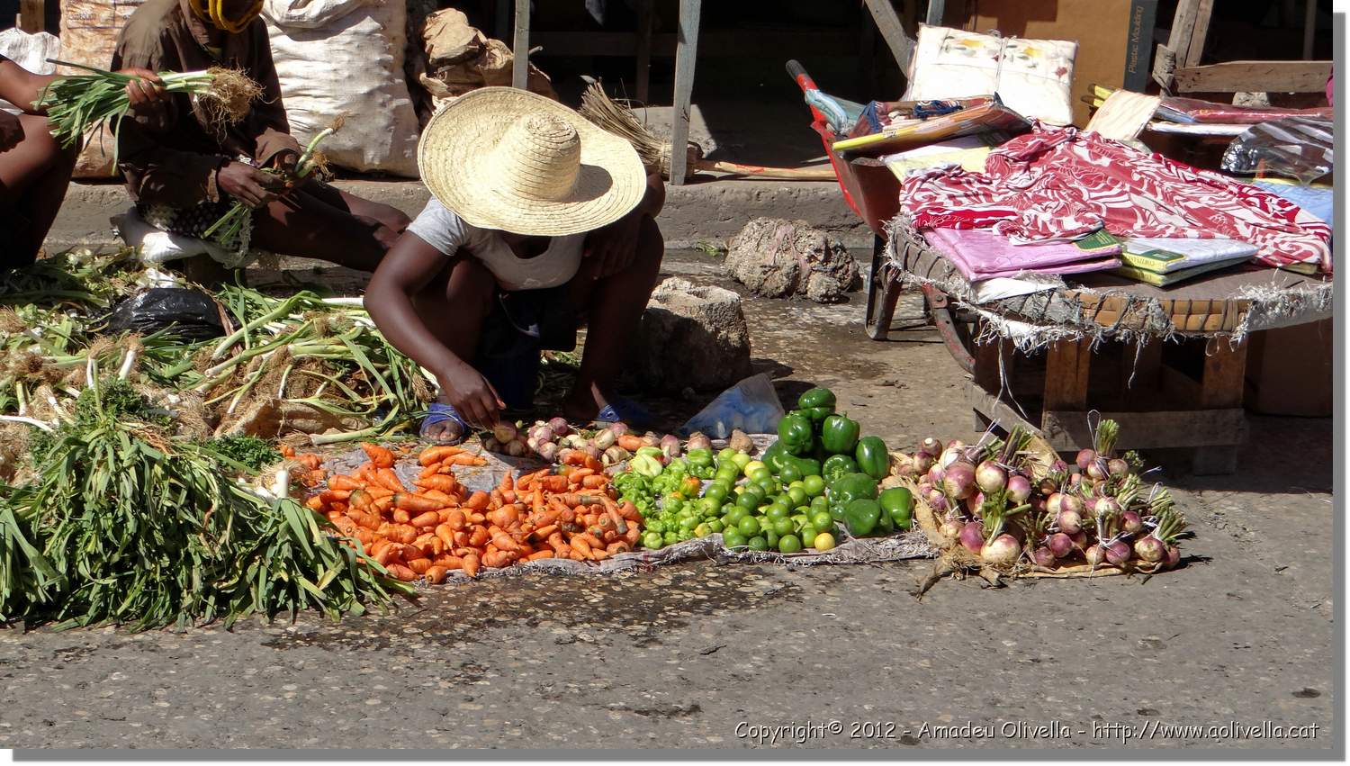 Haiti_PaP_101.jpg