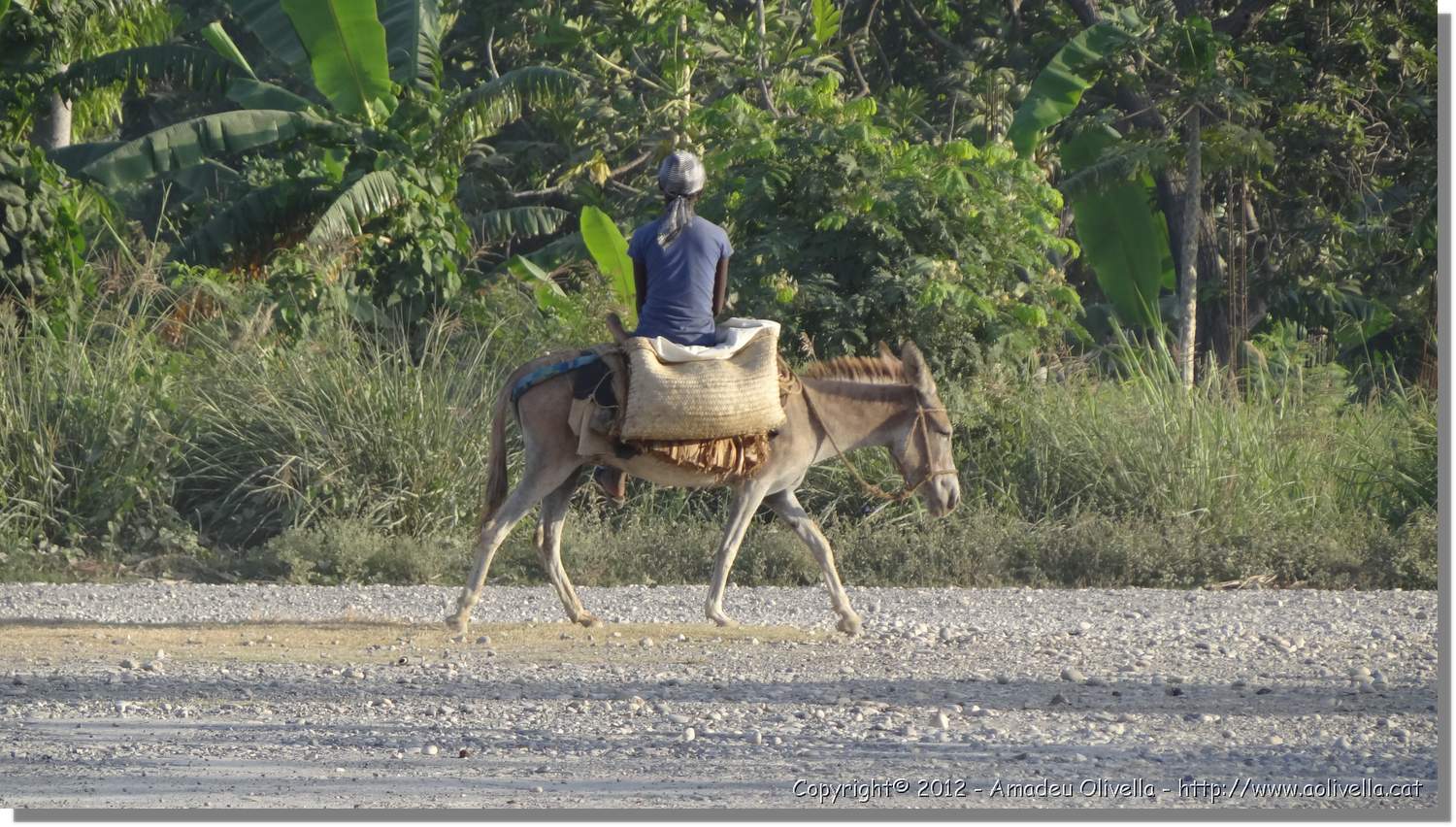 Haiti_251.jpg