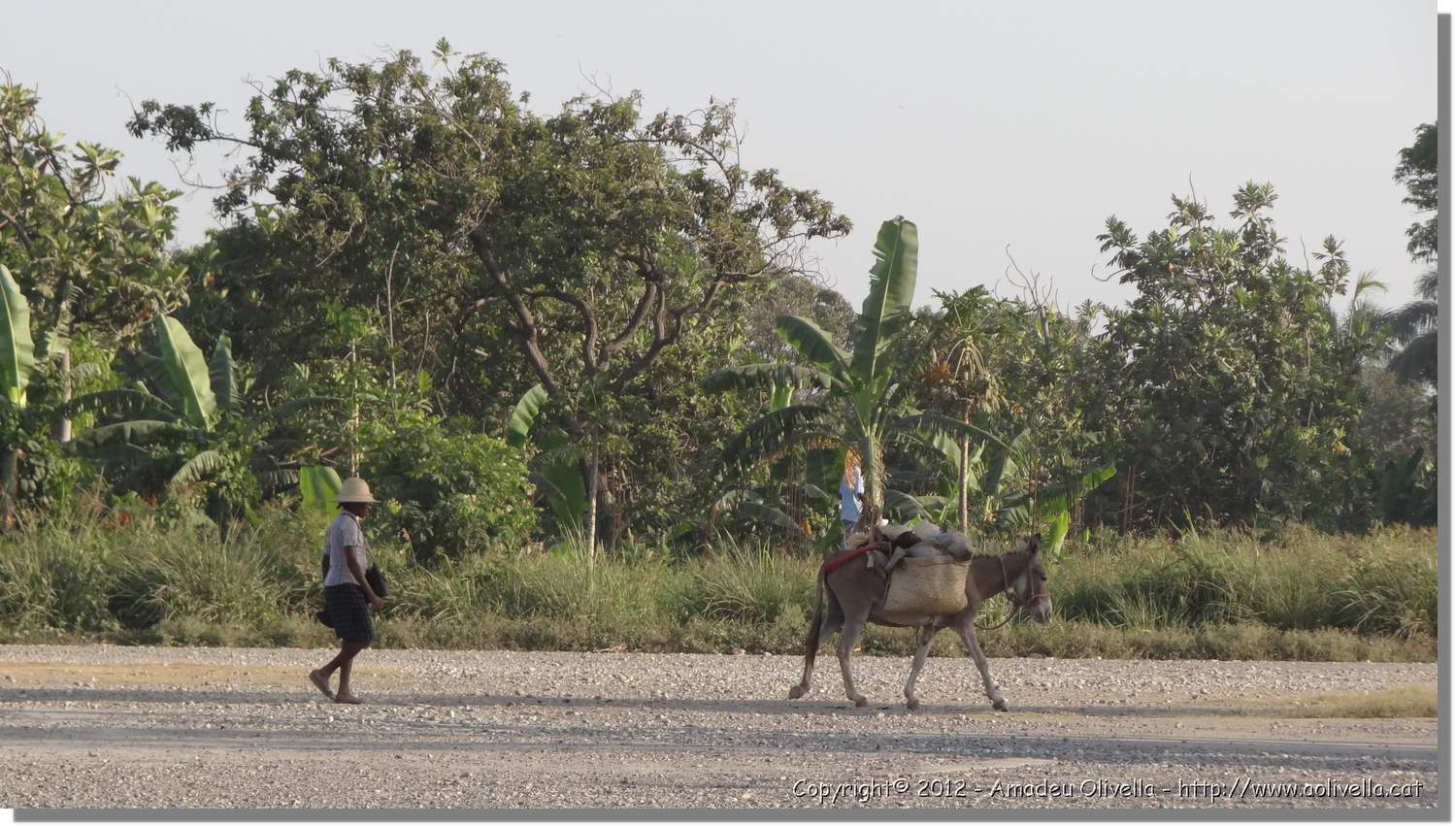 Haiti_254.jpg