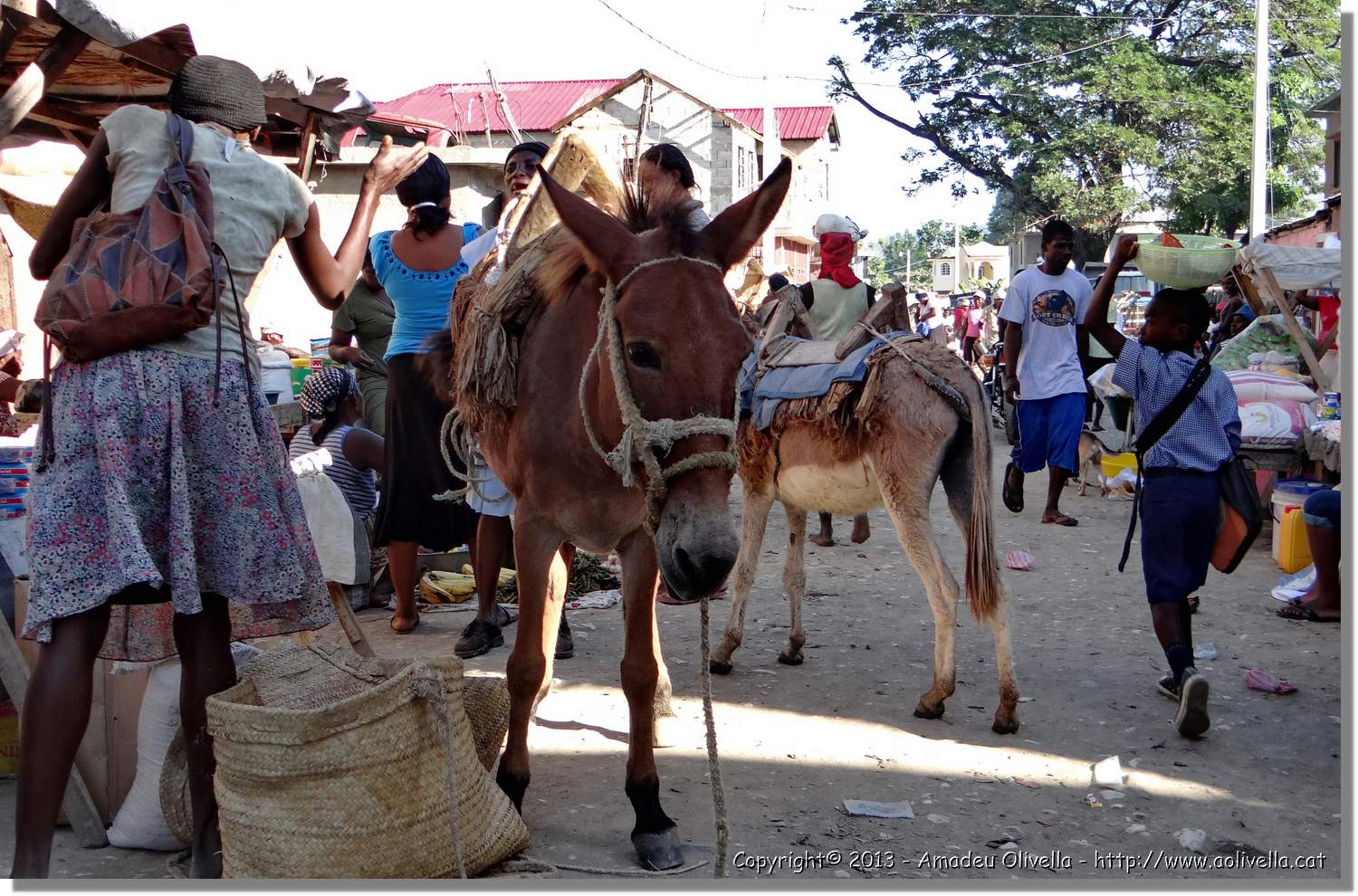 Haiti_JR_011.jpg