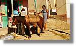 Haiti_JR_086.jpg