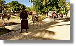 Haiti_JR_089.jpg