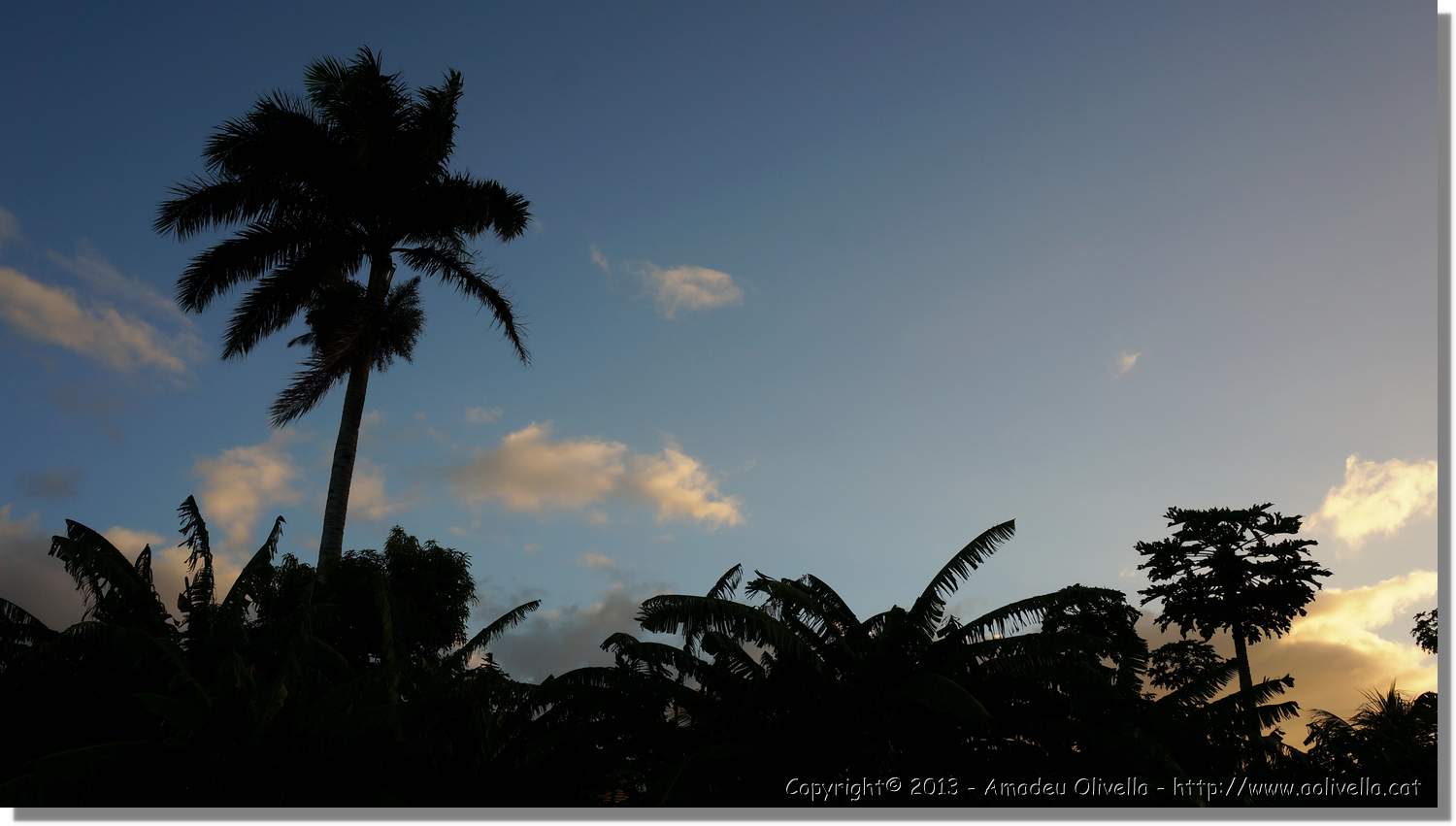 Haiti_V_075.jpg
