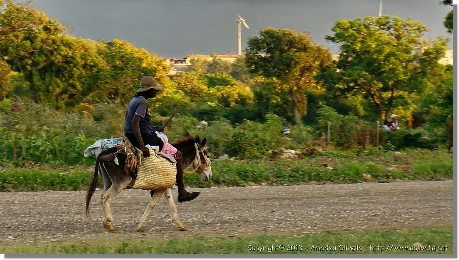 Haiti_V_085.jpg