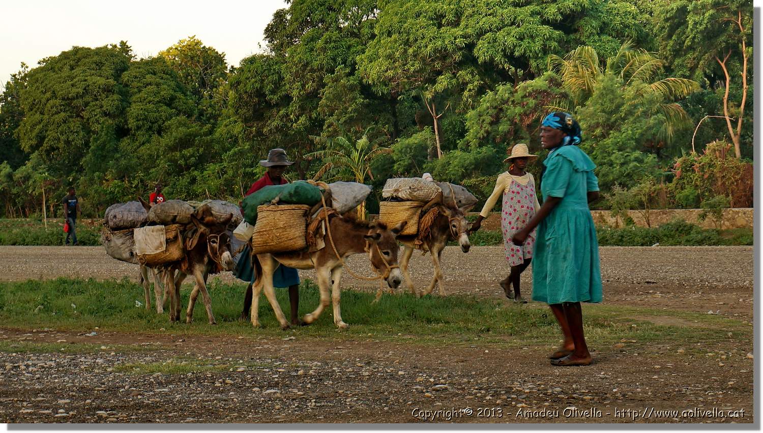 Haiti_V_086.jpg