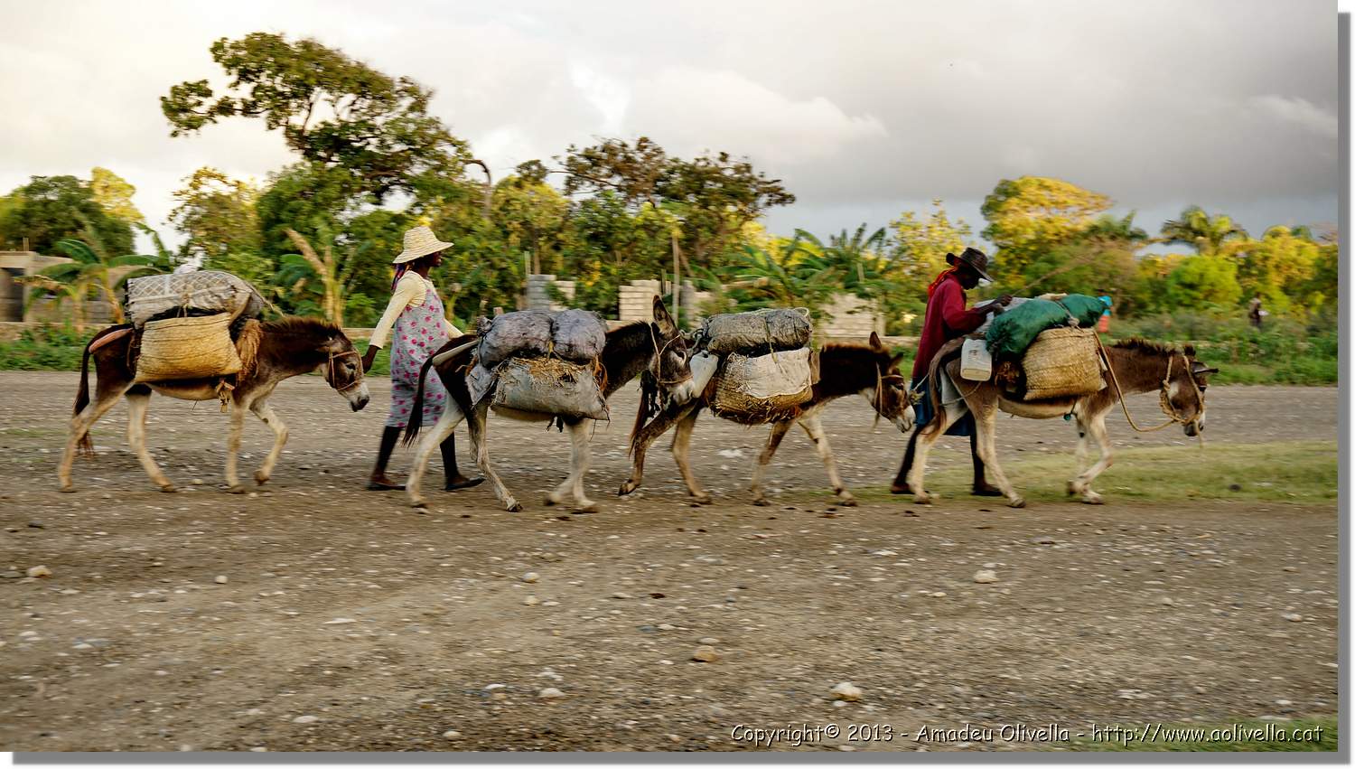 Haiti_V_088.jpg