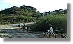 Haiti_V_062.jpg