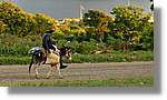 Haiti_V_085.jpg