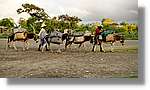 Haiti_V_088.jpg