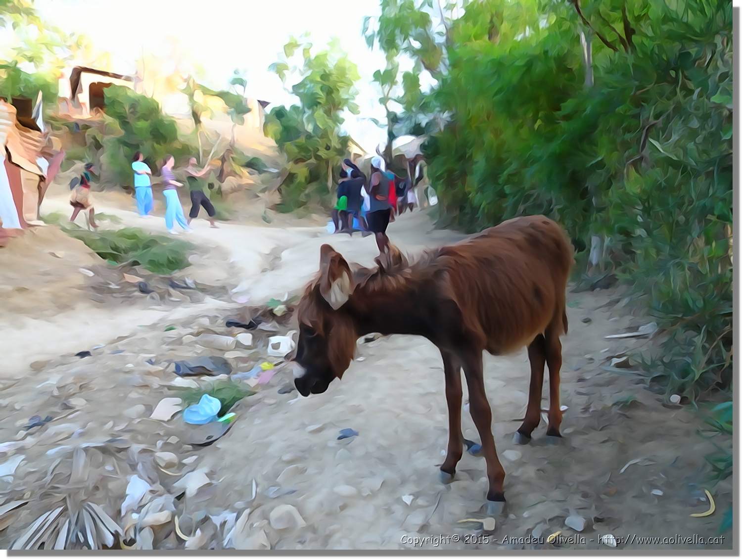 Haiti_050.jpg