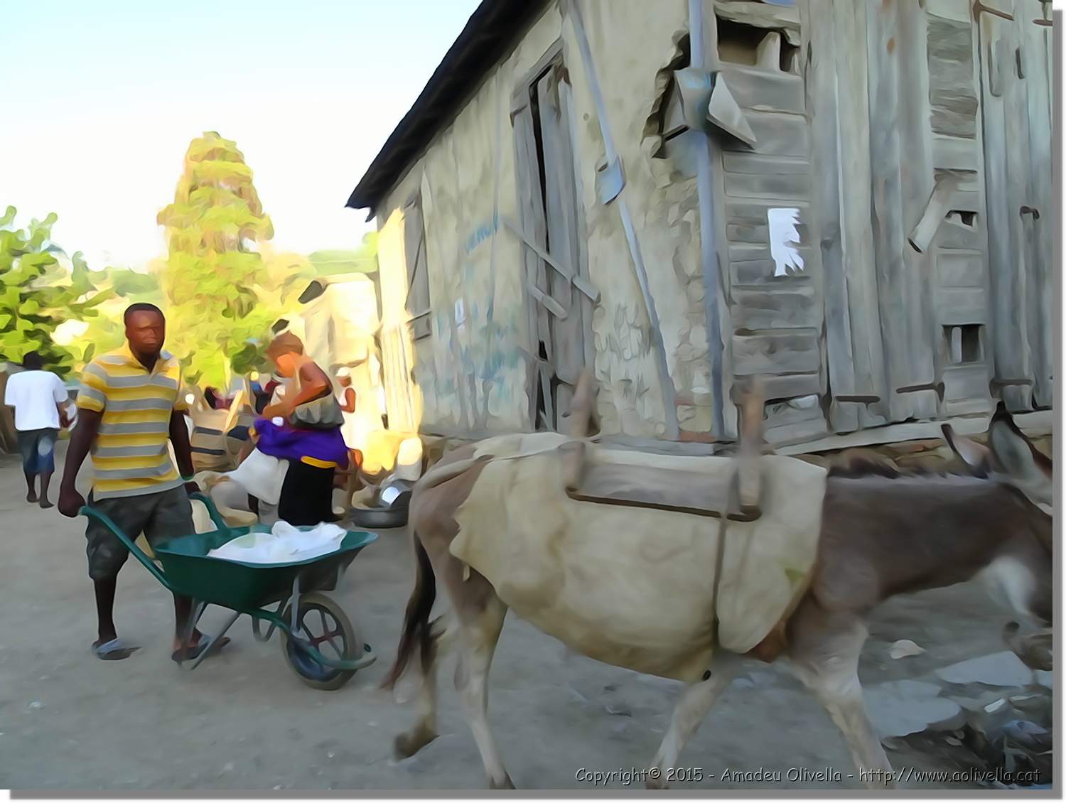 Haiti_071.jpg