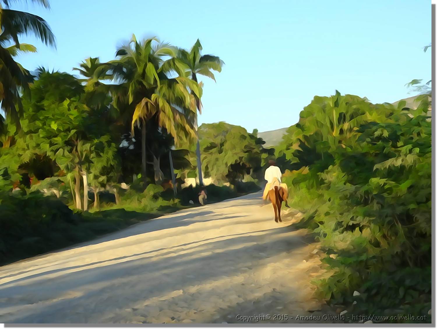 Haiti_119.jpg