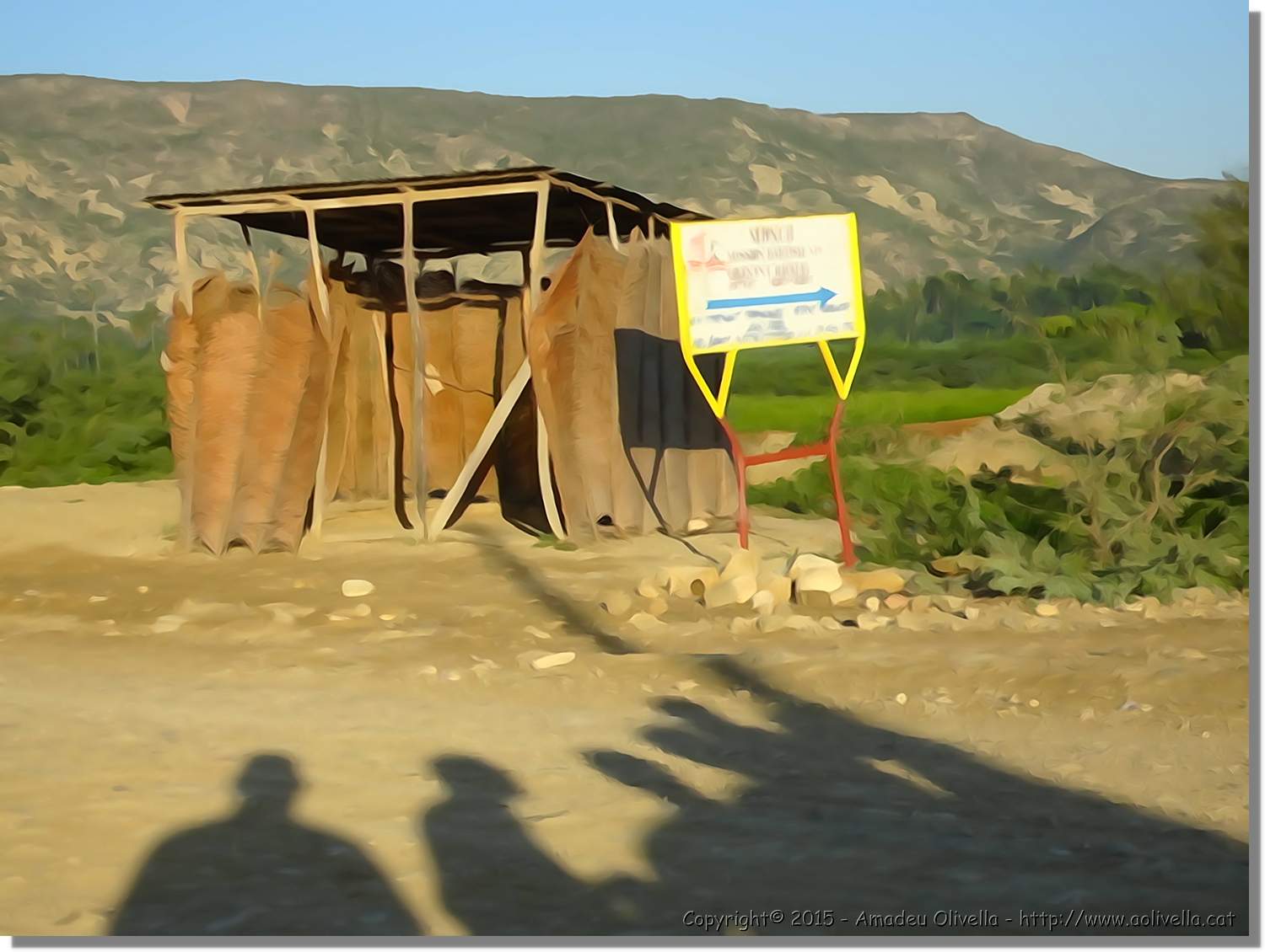 Haiti_125.jpg