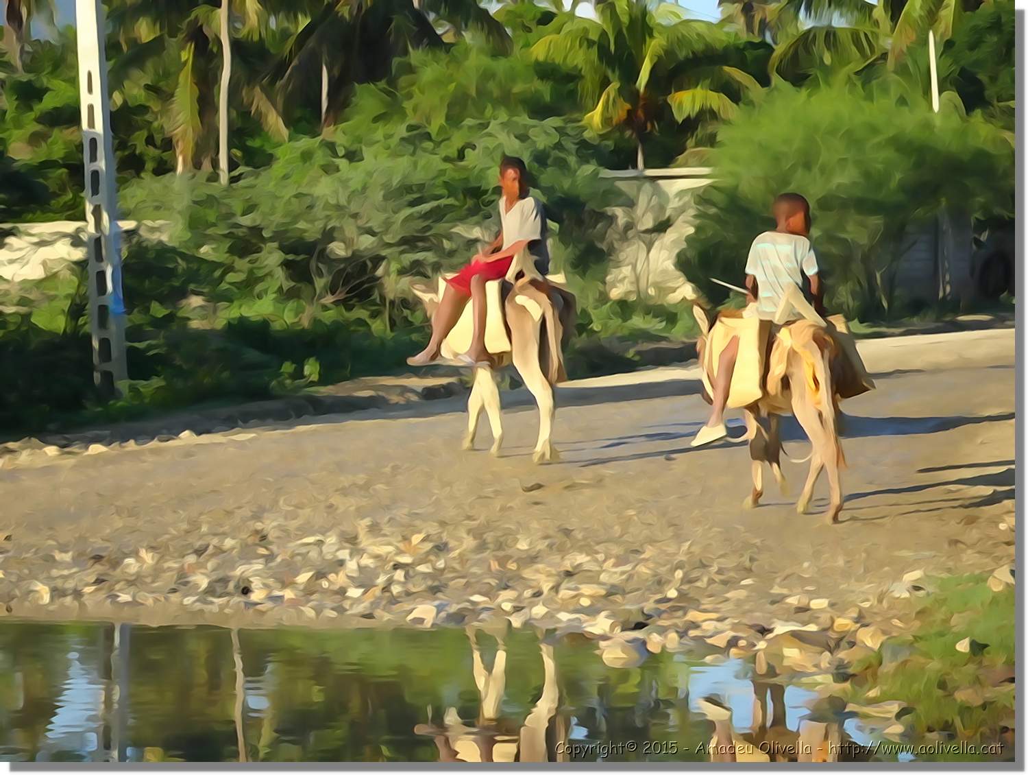 Haiti_132.jpg