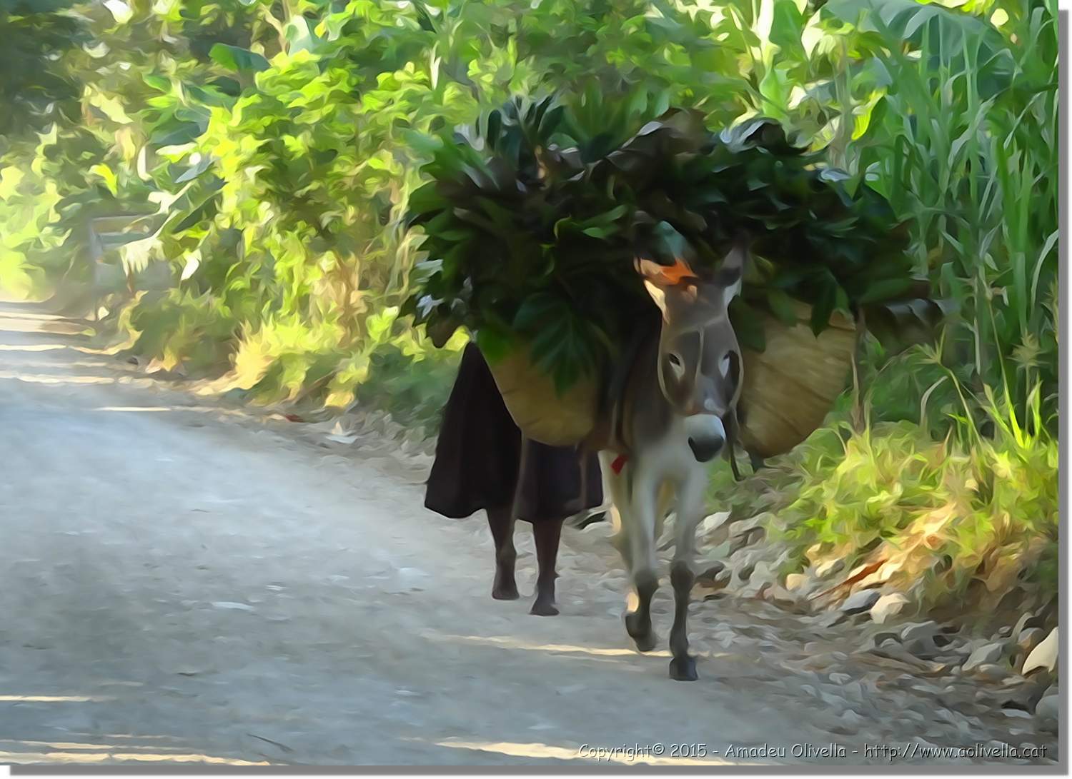 Haiti_138.jpg