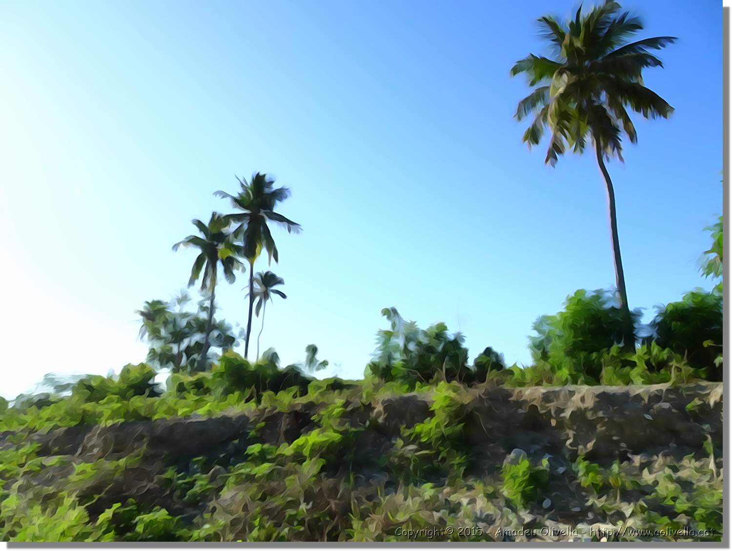 Haiti_156.jpg