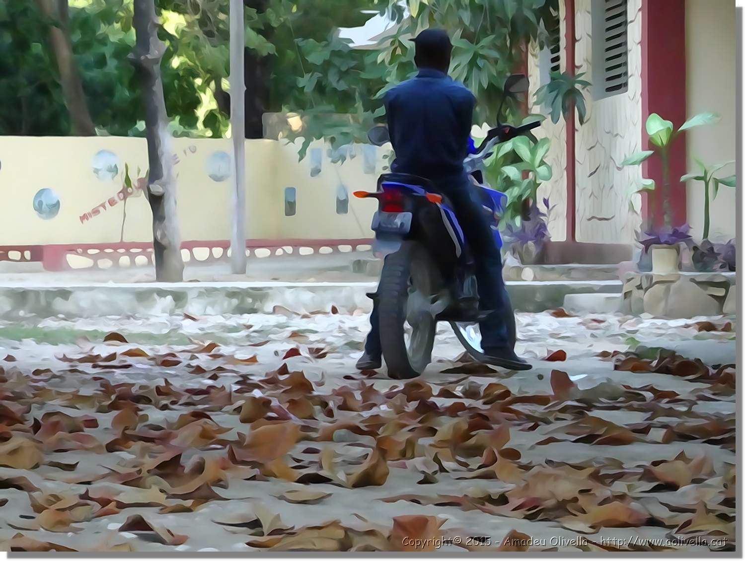 Haiti_165.jpg