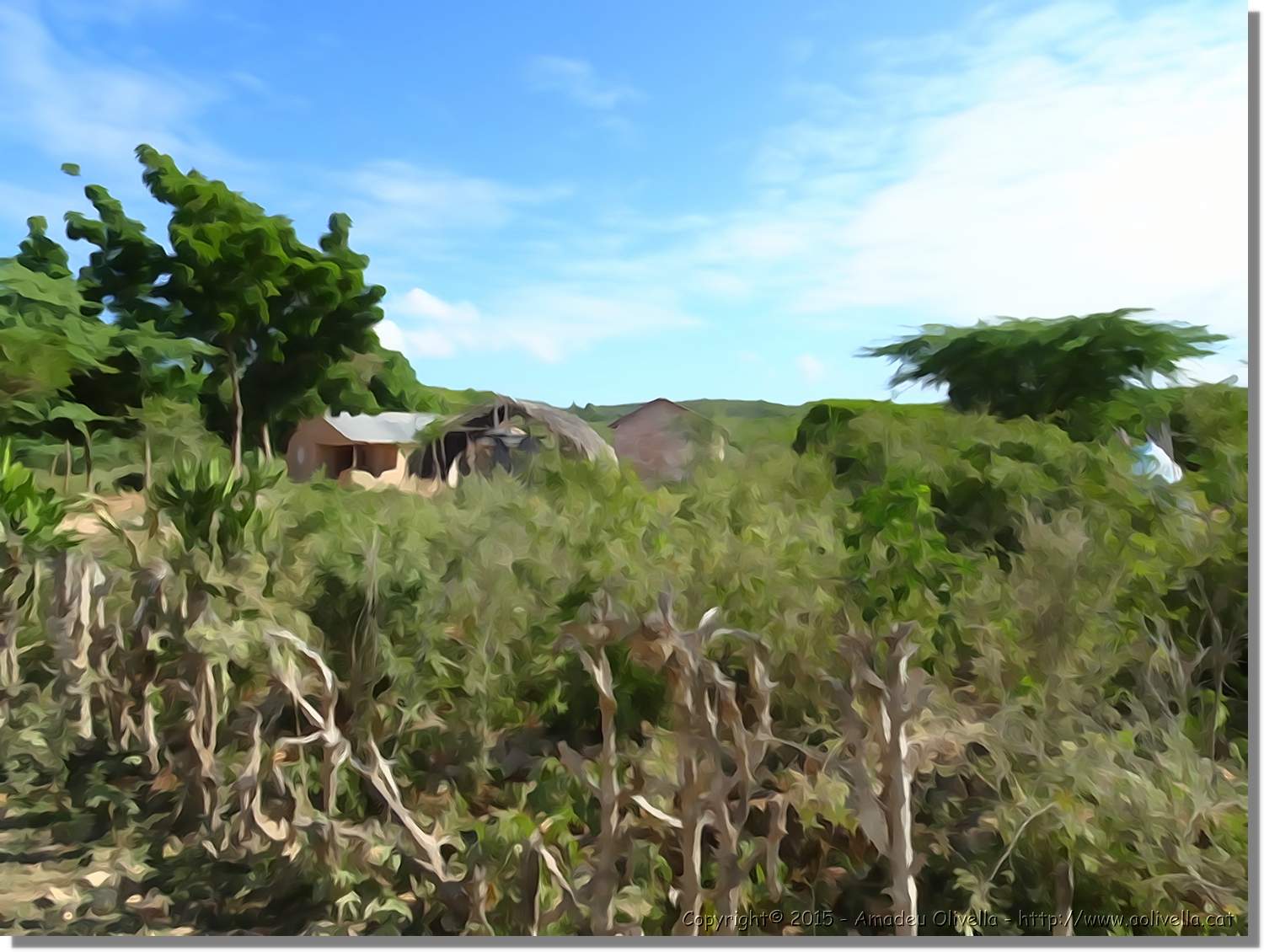 Haiti_169.jpg