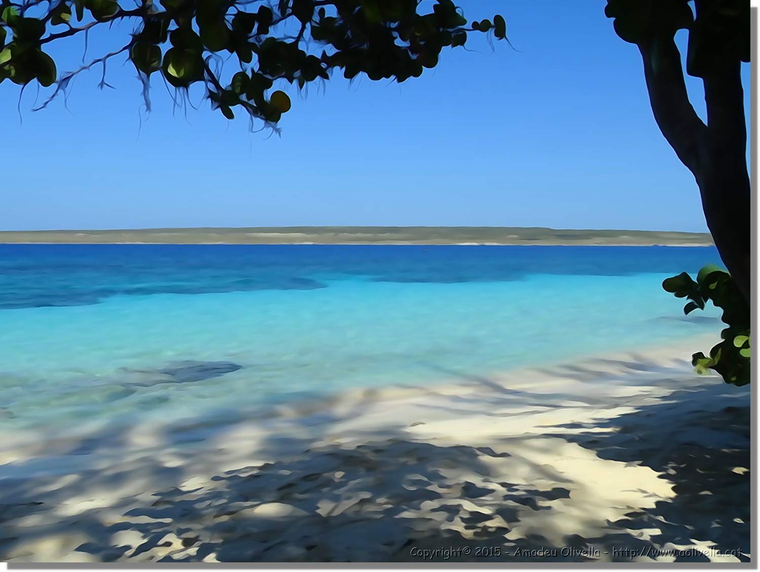 Haiti_192.jpg
