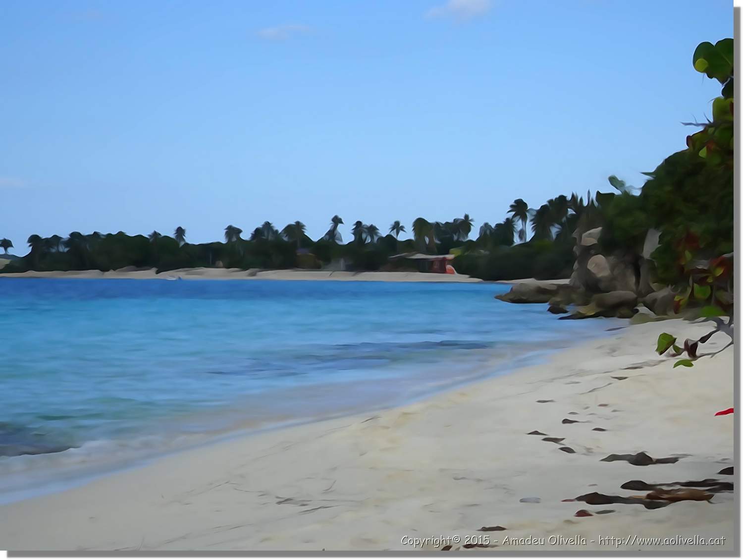 Haiti_226.jpg
