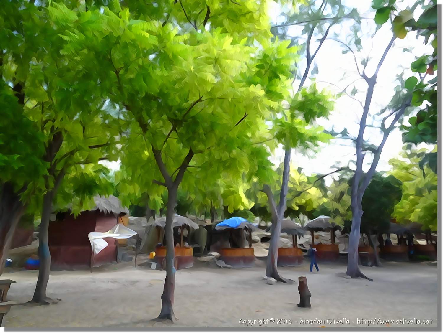 Haiti_227.jpg