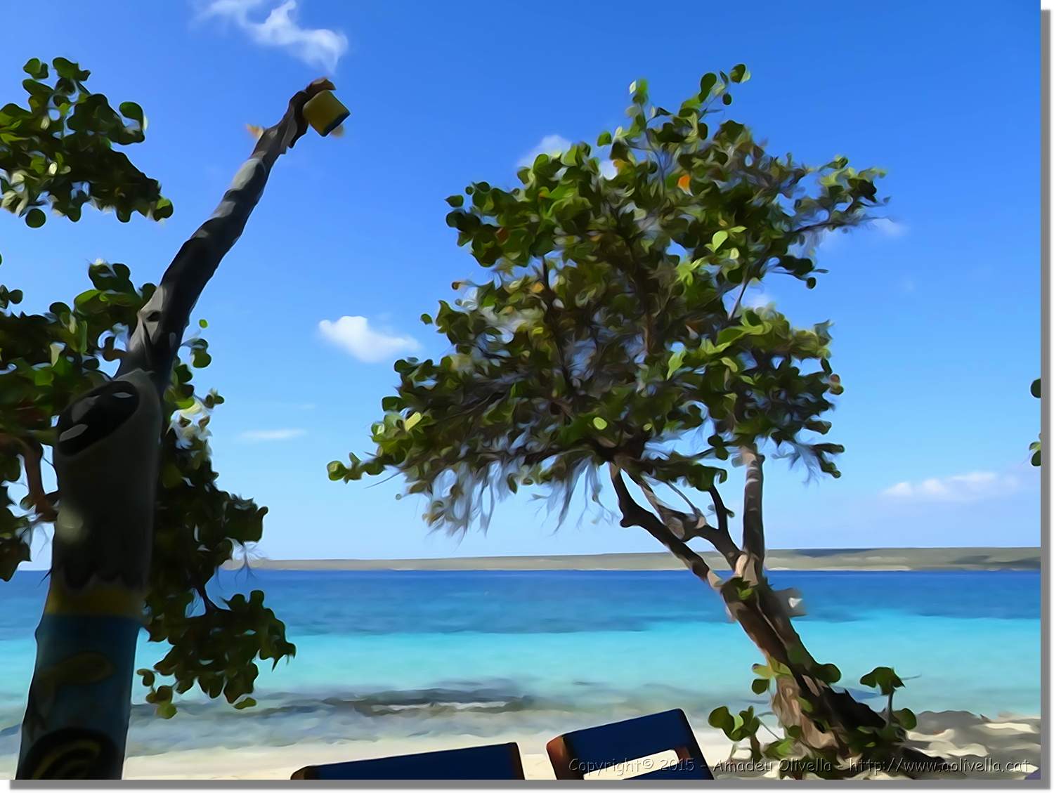Haiti_229.jpg