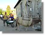 Haiti_071.jpg
