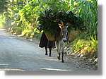 Haiti_138.jpg