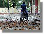 Haiti_165.jpg