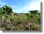 Haiti_169.jpg