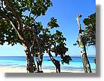 Haiti_219.jpg