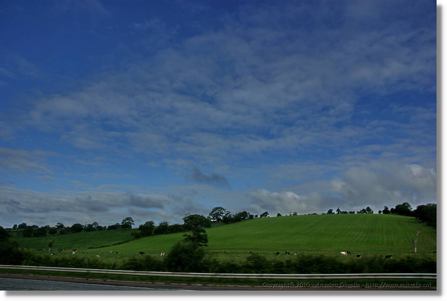 Belfast_194.jpg