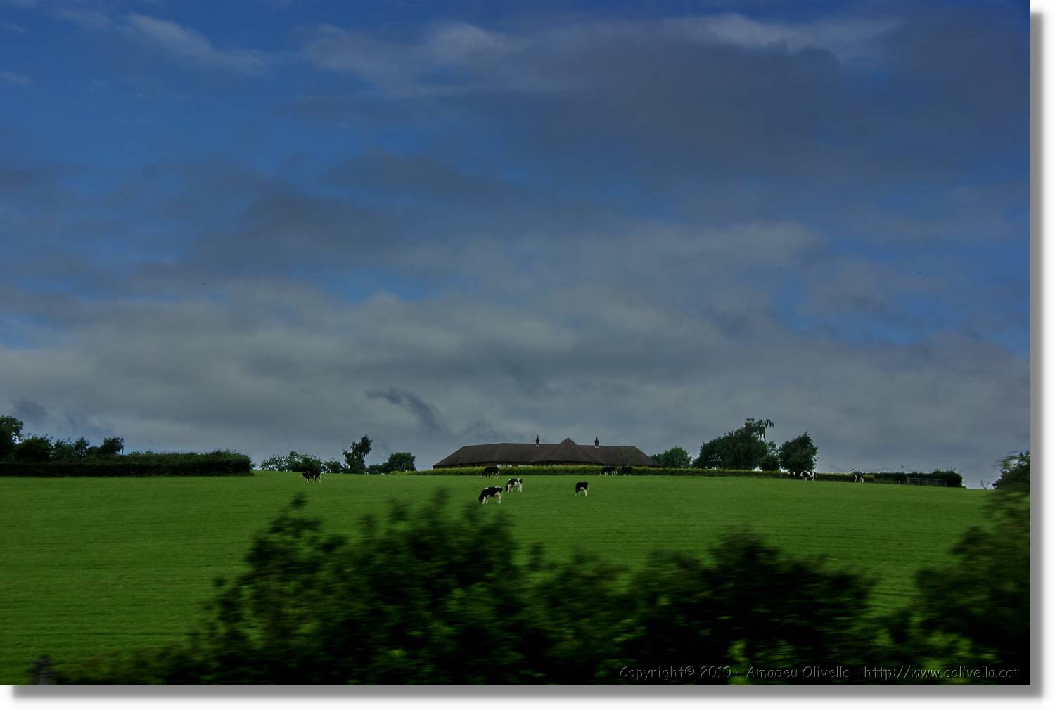 Belfast_195.jpg