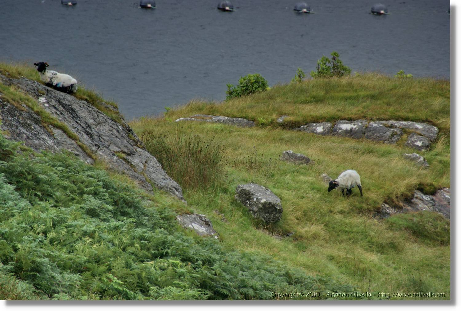 Galway_062.jpg