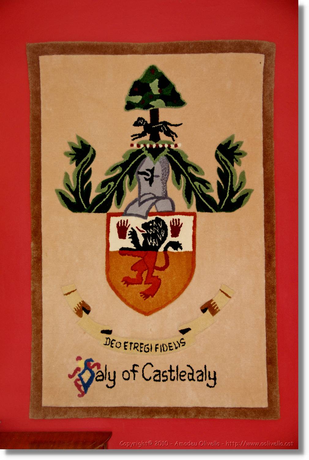 Galway_134.jpg