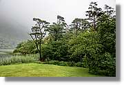 Galway_068.jpg