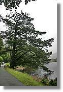 Galway_082.jpg