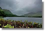 Galway_097.jpg
