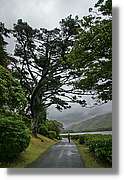 Galway_098.jpg